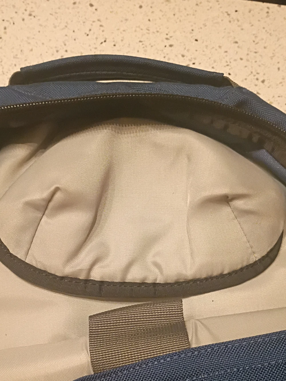 Patagonia Blue Men's Backpack with Vertical Logo Stripe